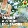 Compo BIO Mini-Hochbeeterde 1 x 20 l für ökologisches Gärtnern_8