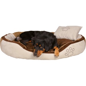 Hund liegt entspannt im beigen/braunen Jollypaw Bett Jordy (60x50 cm) mit Kopfkissen.