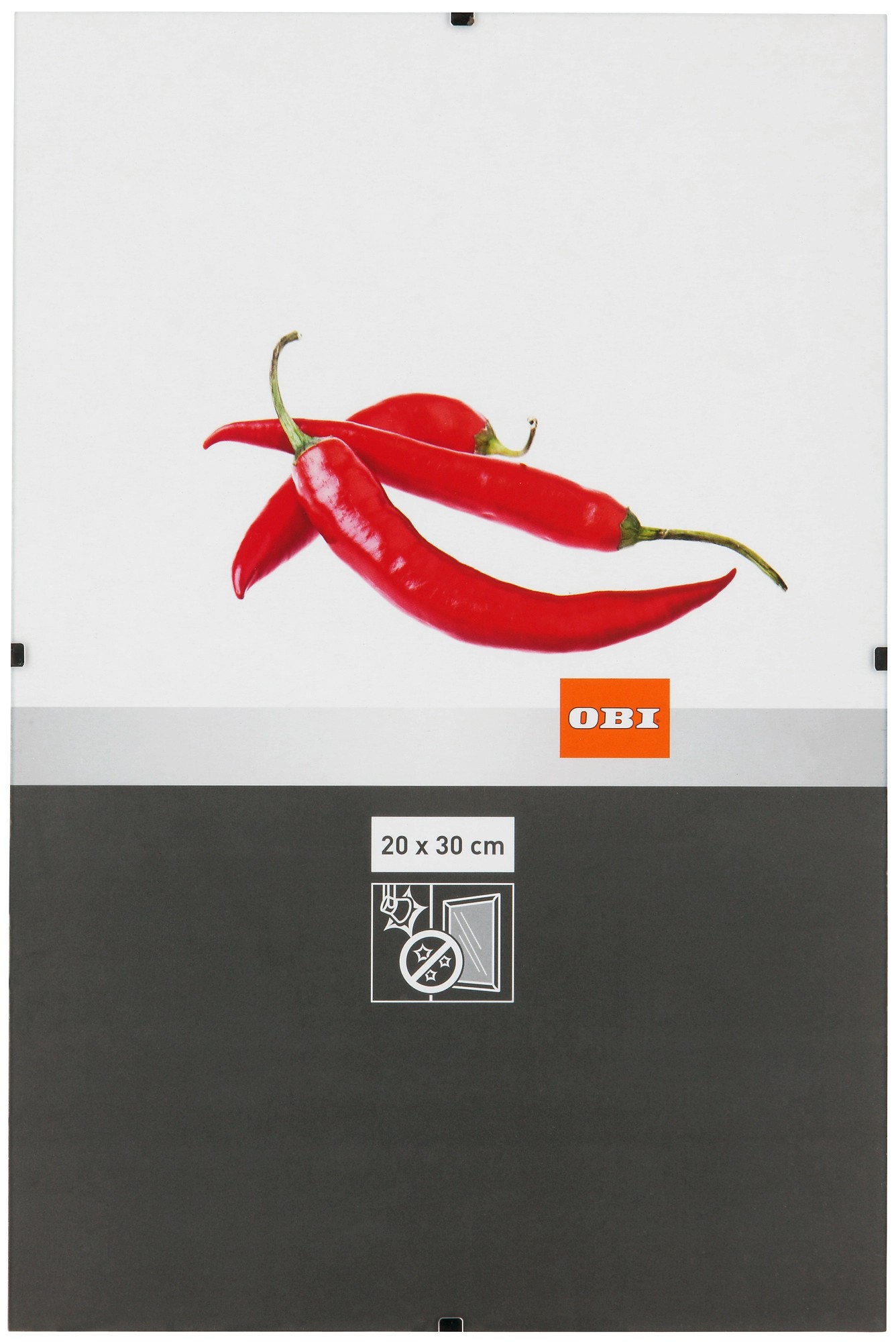 OBI rahmenloser Bilderrahmen 20 cm x 30 cm Antireflexglas kaufen bei OBI