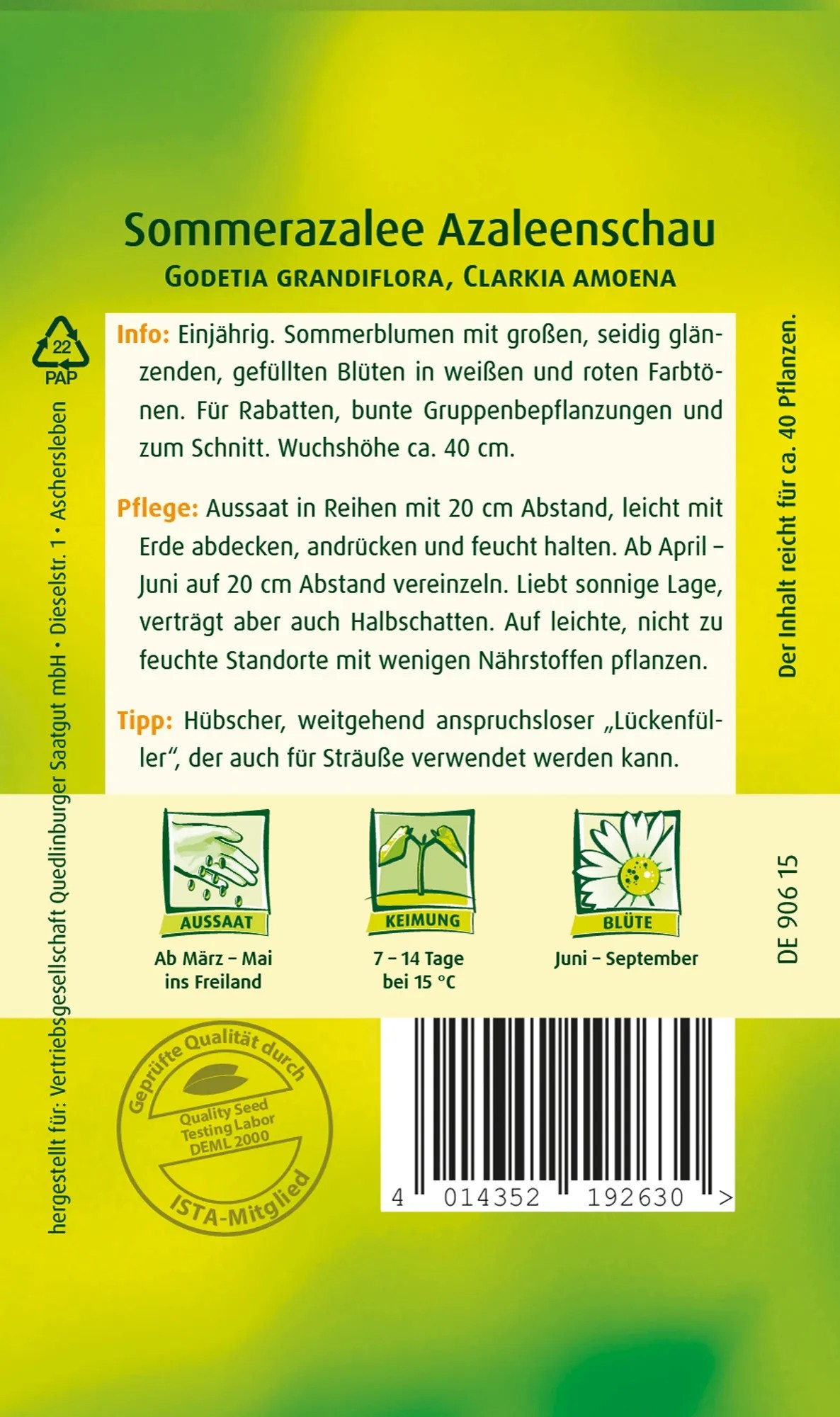 Sommerazalee Samen ‚Godetia Grandiflora‘ – Einjährig & Gefülltblühend | Ca. 150 Pflanzen | Bunte Mischung Für Beet & Balkon