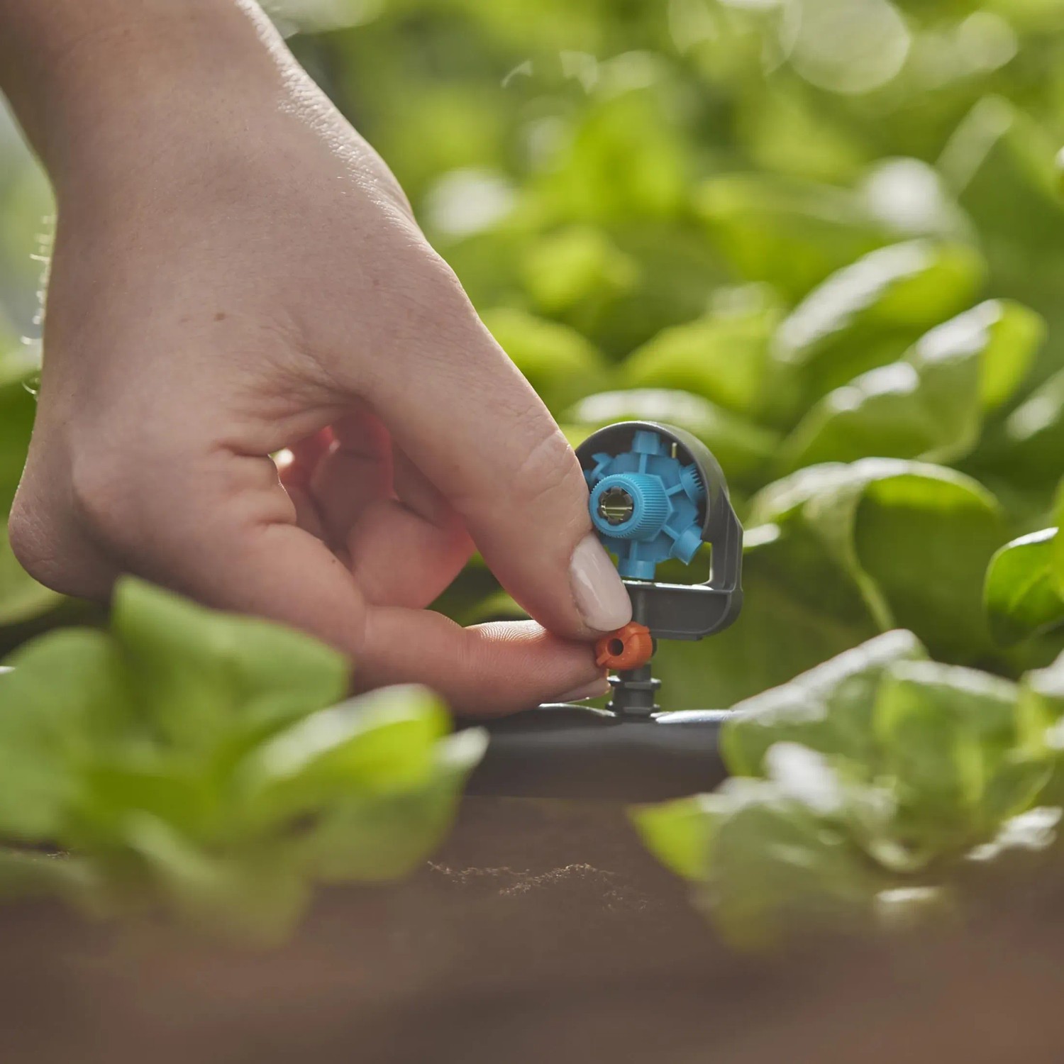 Gardena 6 in 1 Sprühdüse im Micro-Drip-System wird an Verlegerohr angebracht.