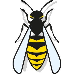 Illustration einer Wespe, schwarz-gelb gestreift, für Nexa Lotte Wespenspray.