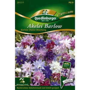 Quedlinburger Akelei Barlow Choice Mischung Blumensamen mit bunten, gefüllten Blüten.