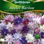 Quedlinburger Akelei Barlow Choice Mischung Blumensamen mit bunten, gefüllten Blüten.