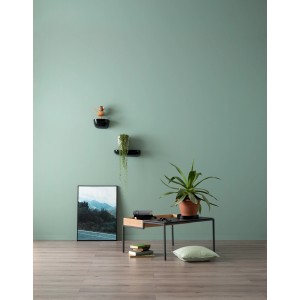 Wand in Agavengrün von Schöner Wohnen Designfarben, matte Premium-Wandfarbe für Innenräume.