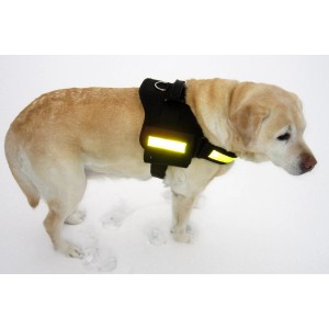 Schwarzes Heim Hunde-Spezialgeschirr Profi XL mit Reflektorstreifen am Labrador.
