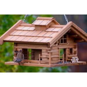 Holz Vogelhaus Appenzell im Berghütten-Design mit Vogel auf dem Futterbrett.
