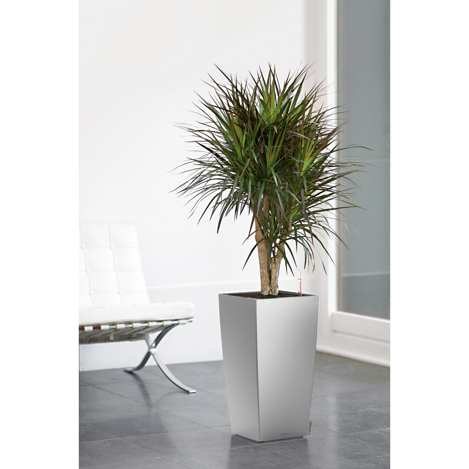 Lechuza Cubico Premium Pflanzgefäß, 22 cm, Silber metallic mit Grünpflanze.