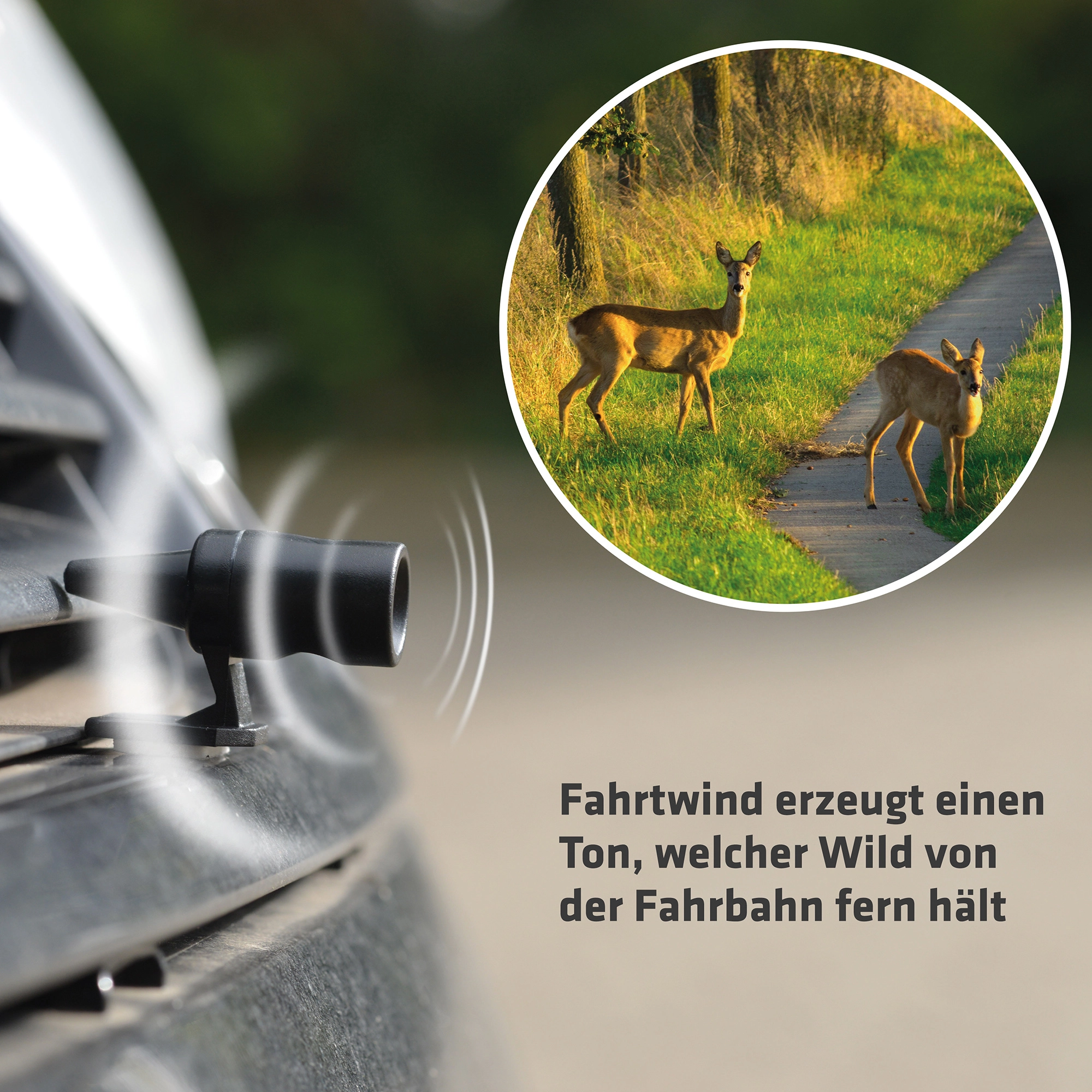 Kaufe Kollisions-Fahrgerät, Hirschpfeifen, akustisches Wildtierwarngerät,  Tieralarm-Sicherheitszubehör