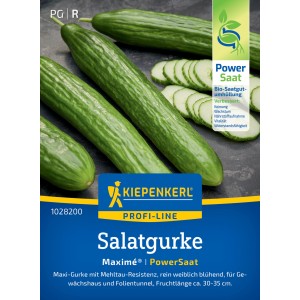 Kiepenkerl Salatgurke 'Maxime' als Saatgut: Dunkelgrüne, längliche Gurken und Gurkenscheiben.