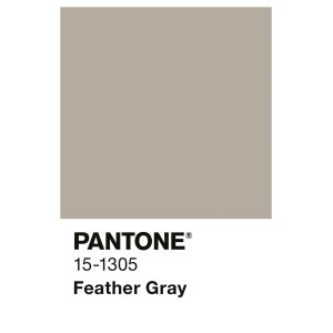 Alpina Innenfarbe Pantone Feather Gray, mattes Graubeige. Farbmuster mit Pantone-Code 15-1305.