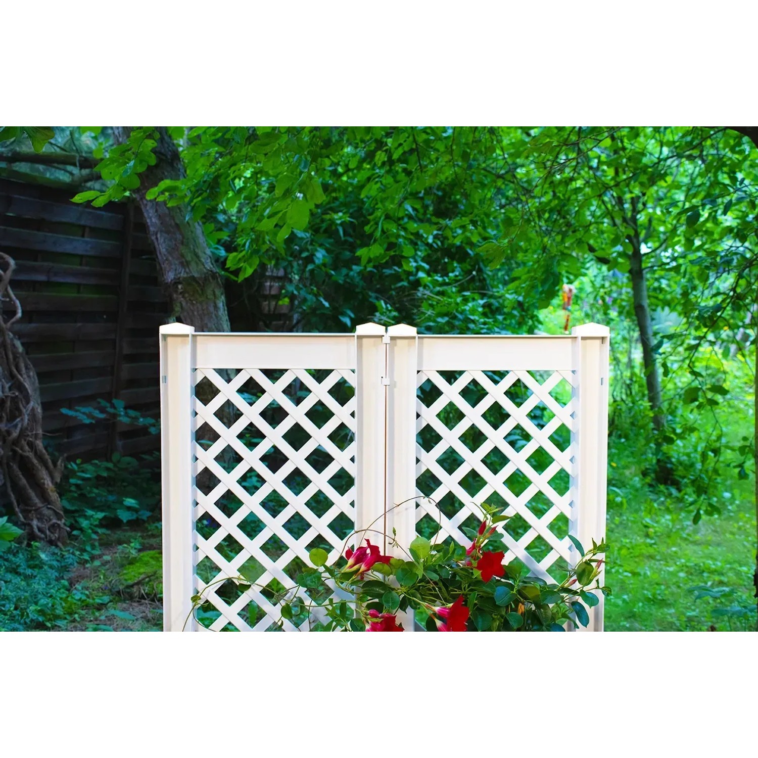 2er-Set KHW Spalier mit Erdspieß, 43 cm, weiß, im Garten mit roten Blüten.