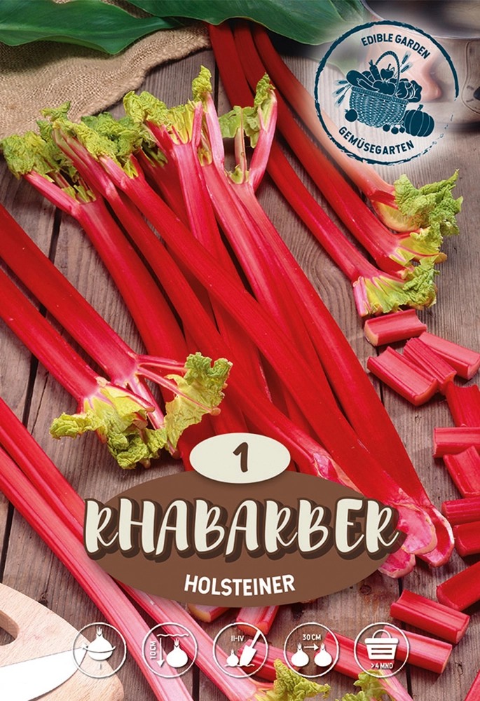 Rhabarber "Holsteiner" kaufen bei OBI