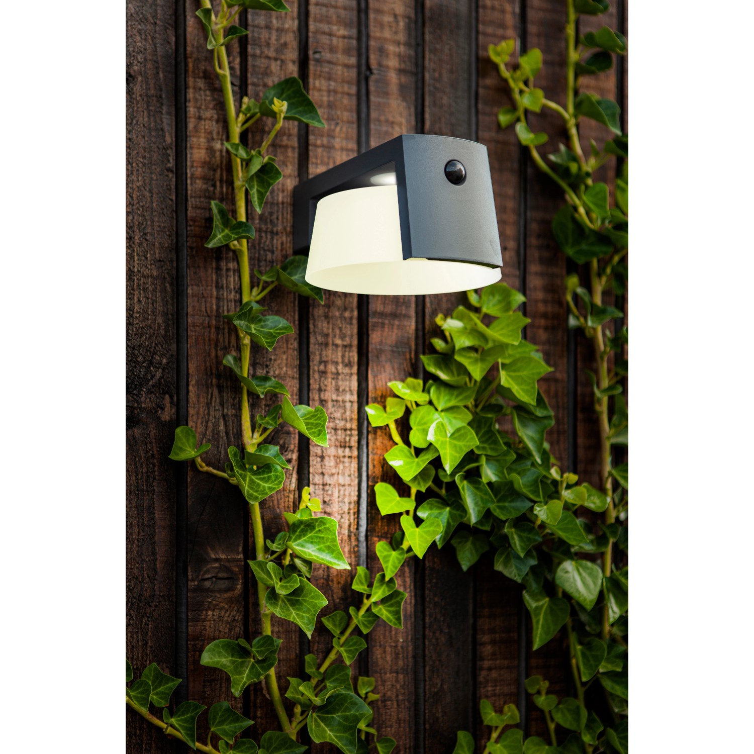 Lutec SolarLEDAußenleuchte Moon 1flammig Anthrazit 9,6 cm x 16 cm x