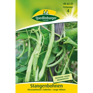 Packung Stangenbohnen 'Neckarkönigin' Samen, lange grüne Hülsen an Ranken.