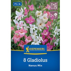 Kiepenkerl Blumenzwiebeln Gladiole kleinblumige Mischung