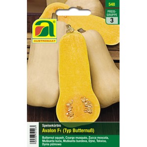 Austrosaat Kürbis Avalon F1 Saatgut, Butternuss-Kürbis mit orangem Fruchtfleisch.