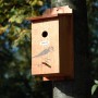 Dobar Nistkasten aus Kiefernholz mit Blaumeisen-Motiv, angebracht an einem Baum.