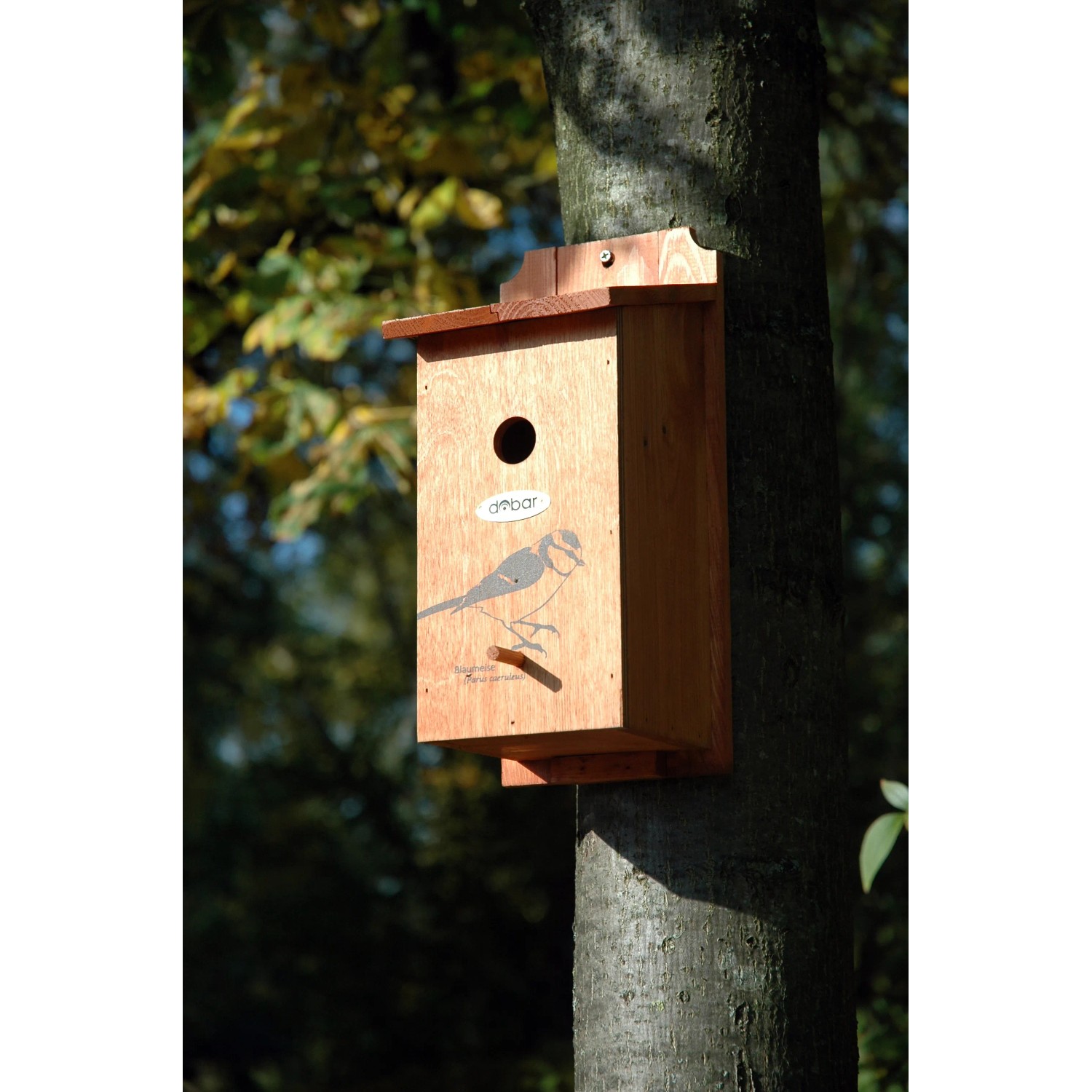 Dobar Nistkasten aus Kiefernholz mit Blaumeisen-Motiv, angebracht an einem Baum.
