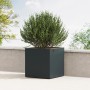 Anthrazitfarbener Herstera Garden Pflanzkübel Cube aus Metall, 80x80x80 cm, mit Bepflanzung.