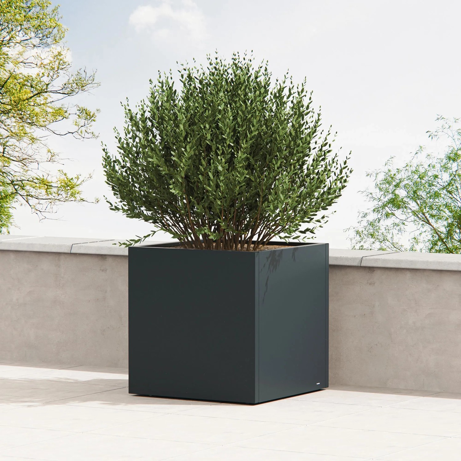 Anthrazitfarbener Herstera Garden Pflanzkübel Cube aus Metall, 80x80x80 cm, mit Bepflanzung.