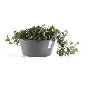 Ecopots Pflanzschale Frankfurt, Ø 41 cm, grau, mit Efeu bepflanzt.