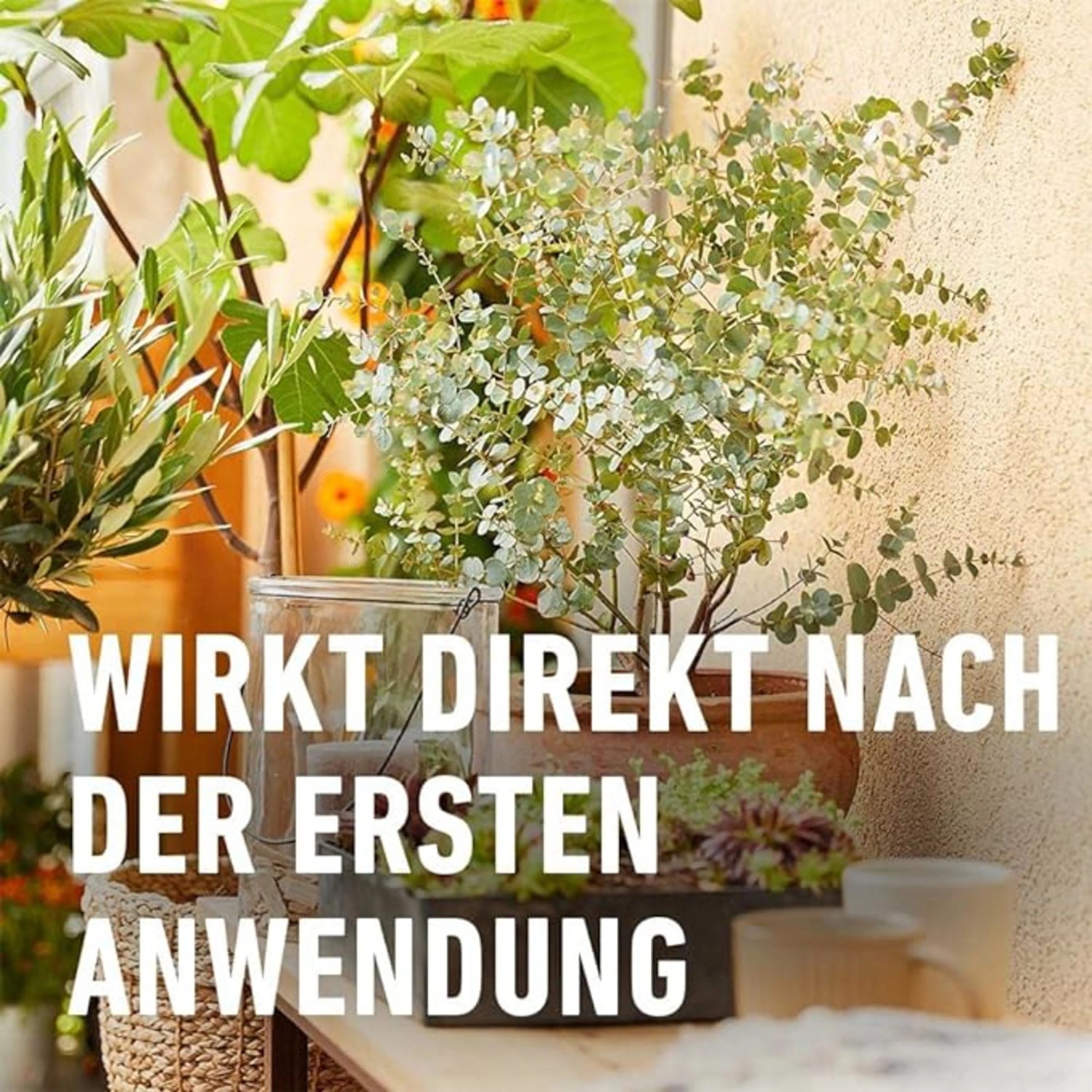 Compo Bio Zitruspflanzendünger 500 ml_7