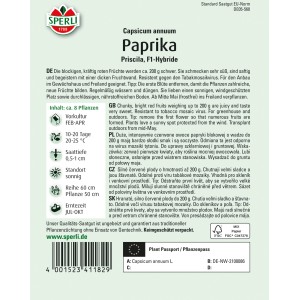 Sperli Paprika Priscila F1-Hybride Samenpackung, rote Blockpaprika für Gewächshaus und Freiland.