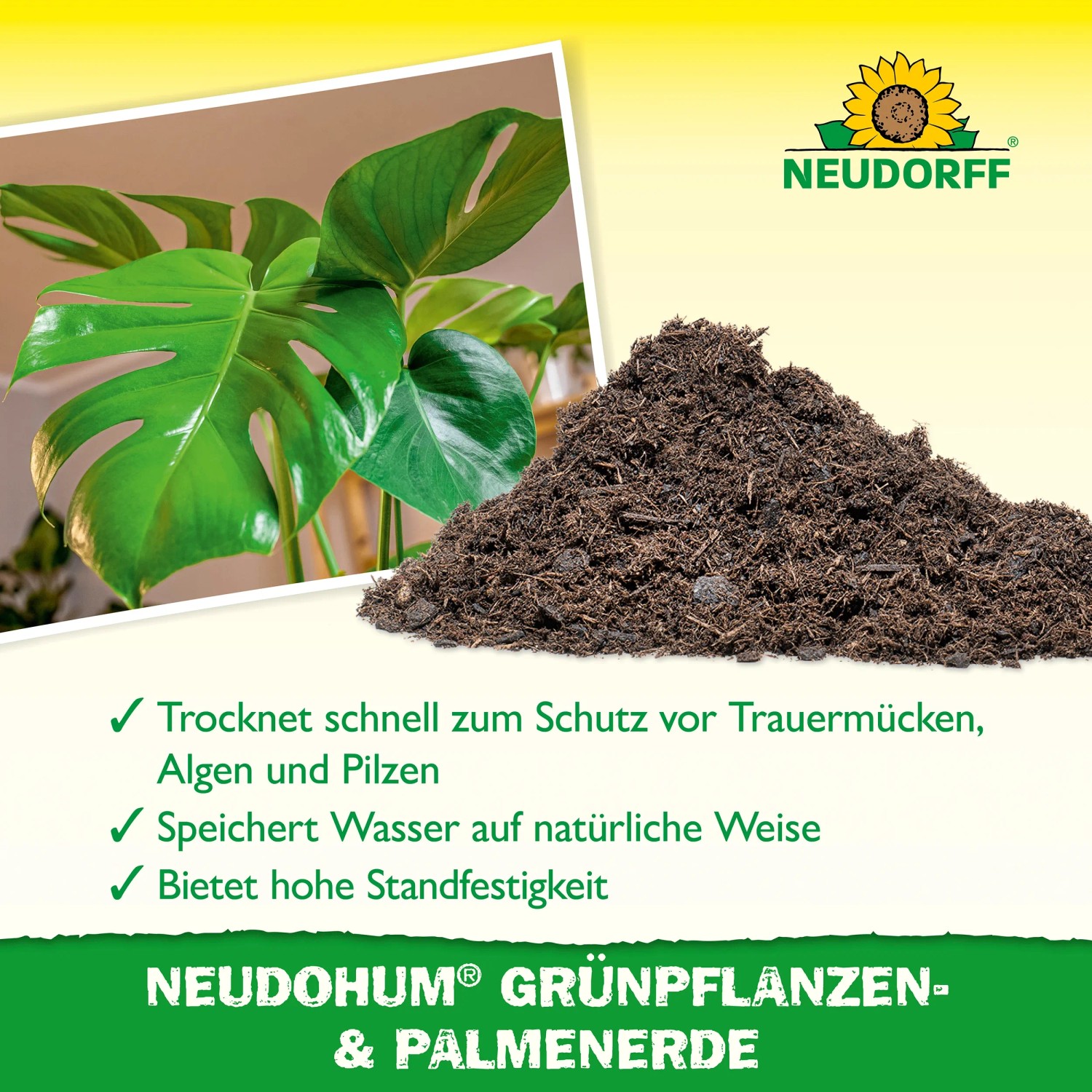 Neudorff Neudohum Grünpflanzen- & Palmenerde 10L mit Grünpflanze im Hintergrund.