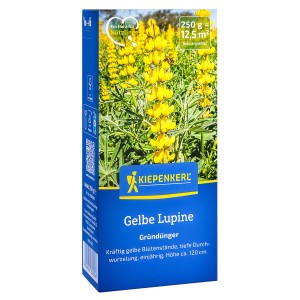Kiepenkerl Gründünger Gelbe Lupine, 250g Packung mit gelben Lupinenblüten.