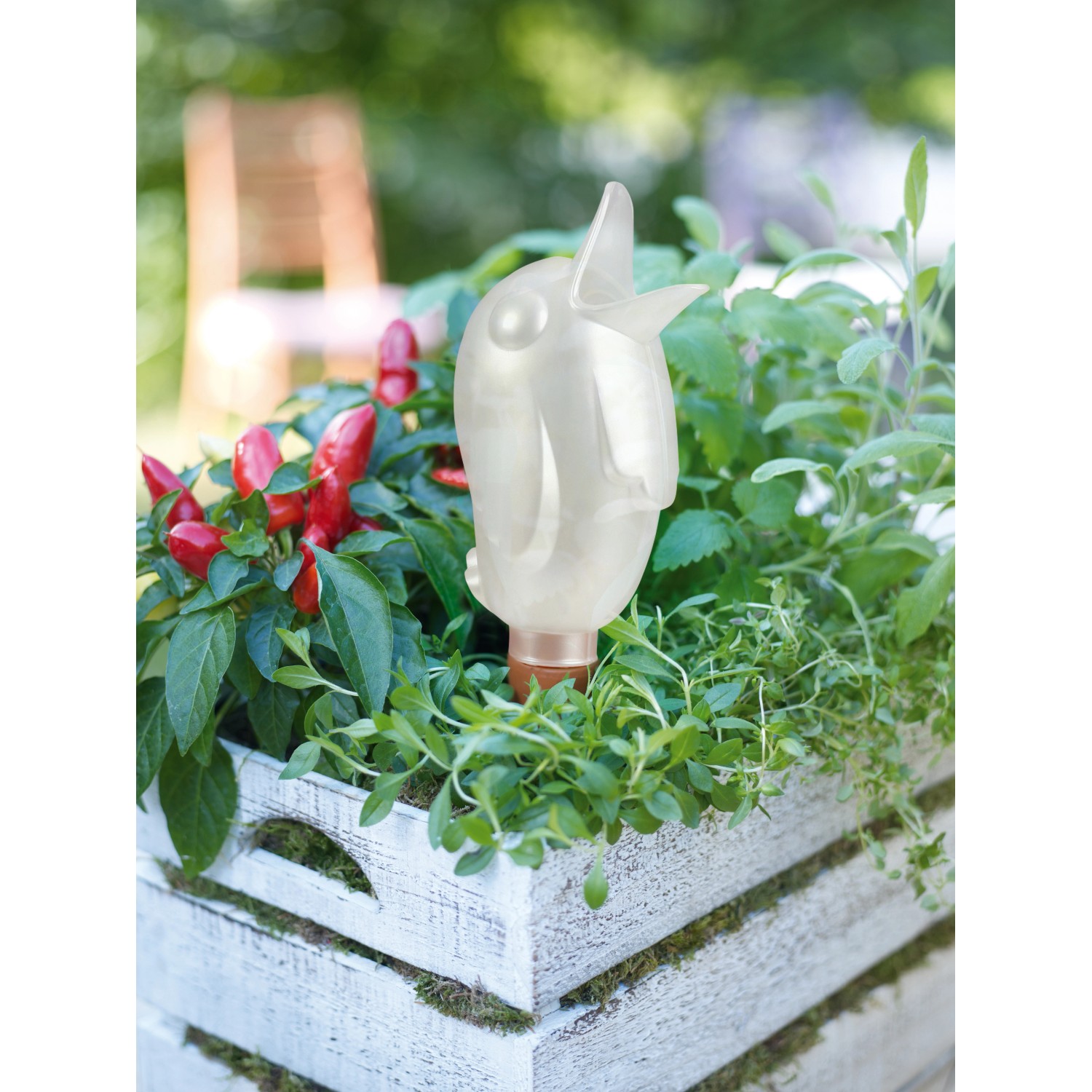 Scheurich Bewässerungsfigur Bördy Purple XL im Pflanzkasten, automatische Bewässerung.