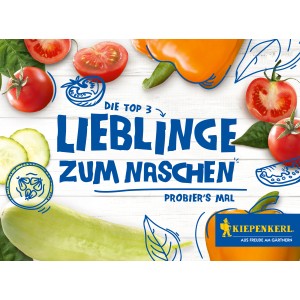 Kiepenkerl Top 3 Gemüsesamen Set: Cocktail-Tomate, Gurke, Paprika auf hellem Holzgrund.