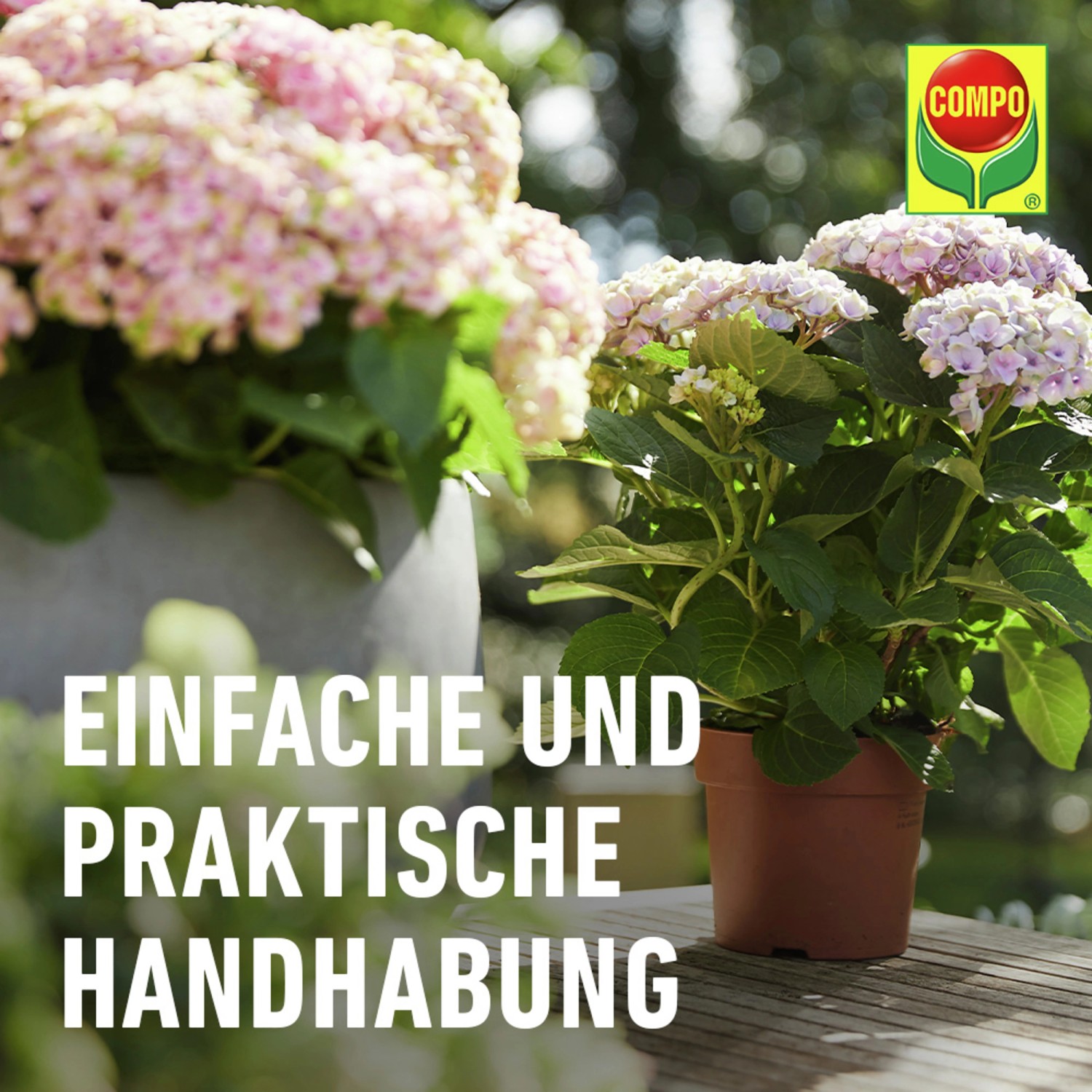 Compo Düngestäbchen für Balkon- und Kübelpflanzen mit Guano 30 Stäbchen_7