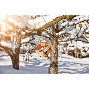 Vogelfuttersilo Gaisberg aus Holz mit Vogel im Wintergarten.