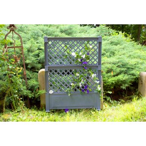 Graues KHW Spalier 2-tlg. mit Erdspieß, Rankhilfe für Garten und Terrasse, mit Pflanzen bewachsen.