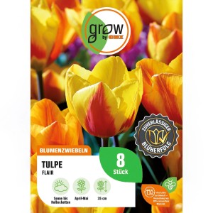 Packung GROW by OBI Tulpe Flair, orange-gelbe Tulpen, 8 Stück. Blumenzwiebeln für den Garten.