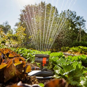 Gardena AquaZoom Compact Viereckregner bewässert Gemüsebeet. Präzise, rechteckige Bewässerung.