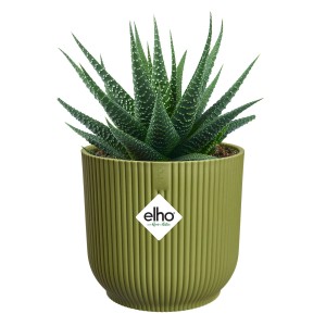 Elho Vibes Fold Mini Blumentopf, rund, Ø 9 cm, grün, mit Pflanze.