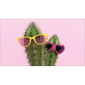 Pro Art Dekopanel Cool Cactus: Zwei Kakteen mit gelber und pinker Sonnenbrille vor rosa Hintergrund.