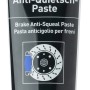 Liqui Moly Bremsen-Anti-Quietsch-Paste, 100g Tube zur Beseitigung von Bremsenquietschen.