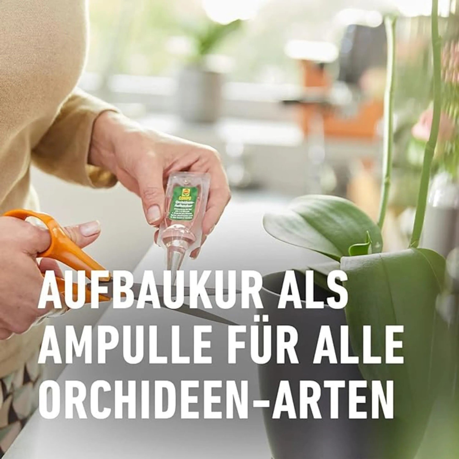 saatgut ausbringen Wildblumenwiese Blumenmischung 100 g – Blumensamen online kaufen