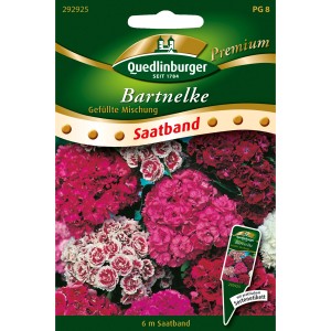 Quedlinburger Bartnelken Saatband Mischung mit farbenfrohen Blüten.
