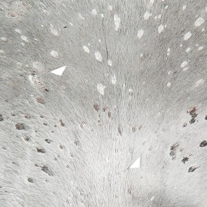 Kayoom Teppich Fly 110, grau-silber, 120x190 cm, aus Leder mit Fleckenmuster.