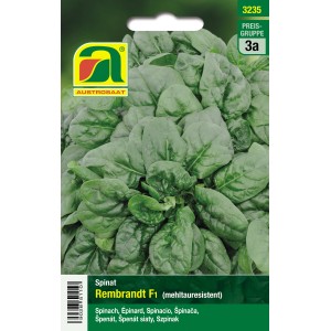Austrosaat Saatgut Spinat "Rembrandt F1" Spinacia oleracea L.