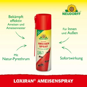 Neudorff Loxiran Ameisen-Spray 400ml zur Ameisenbekämpfung im Haus und Garten.