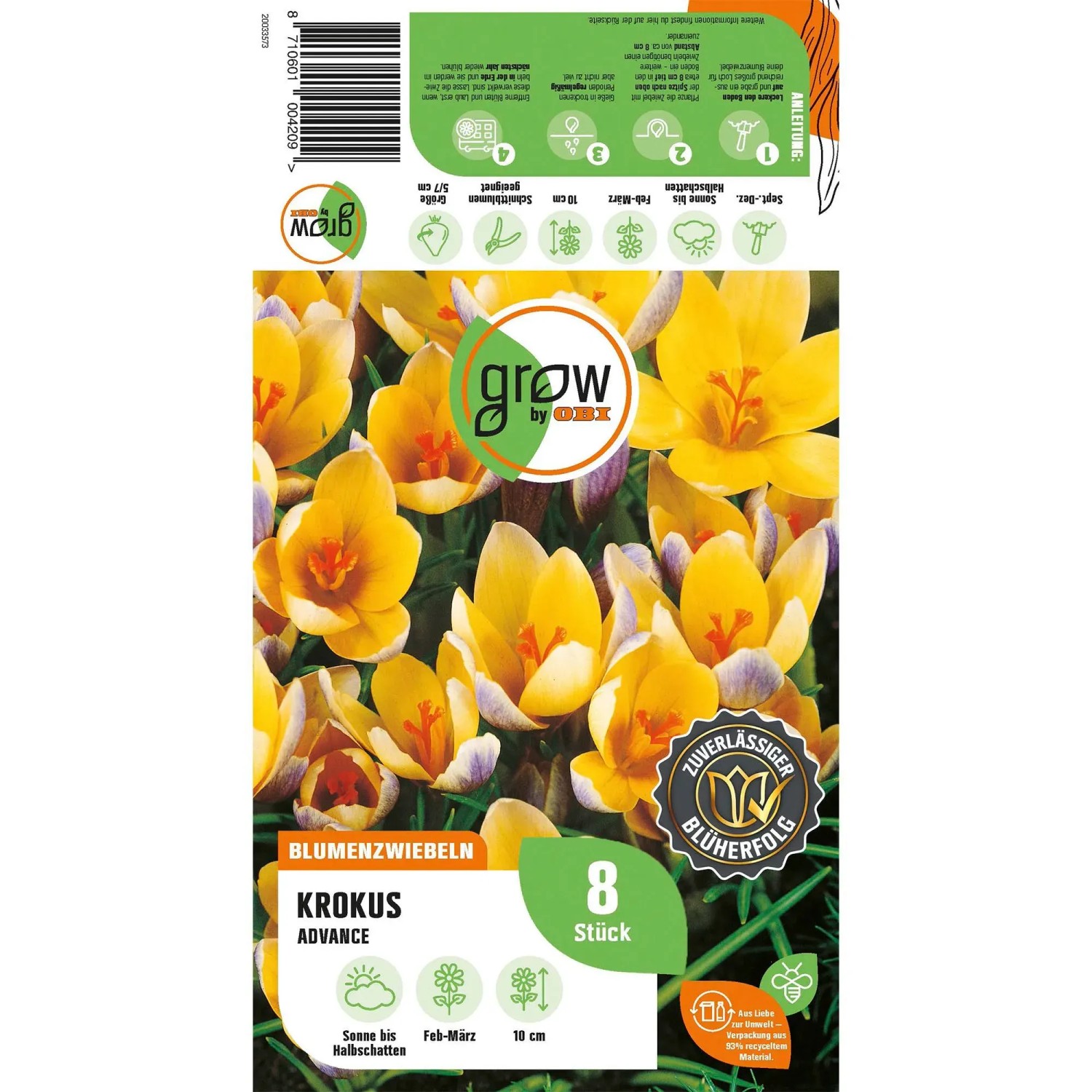 Verpackung GROW by OBI Krokus Advance Purple, 8 Stück Blumenzwiebeln mit gelb-violetten Blüten.