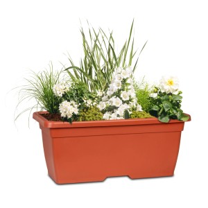 Scheurich Pflanzkasten Nora Long, terra, bepflanzt mit weißen Blumen und Gräsern.