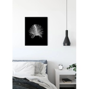 Komar Wandbild Feather Black, 40x50 cm, Feder-Motiv auf schwarzem Hintergrund.