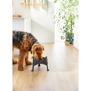 Rotho Futternapf Sammy Verstellbar 1,02 l Anthrazit