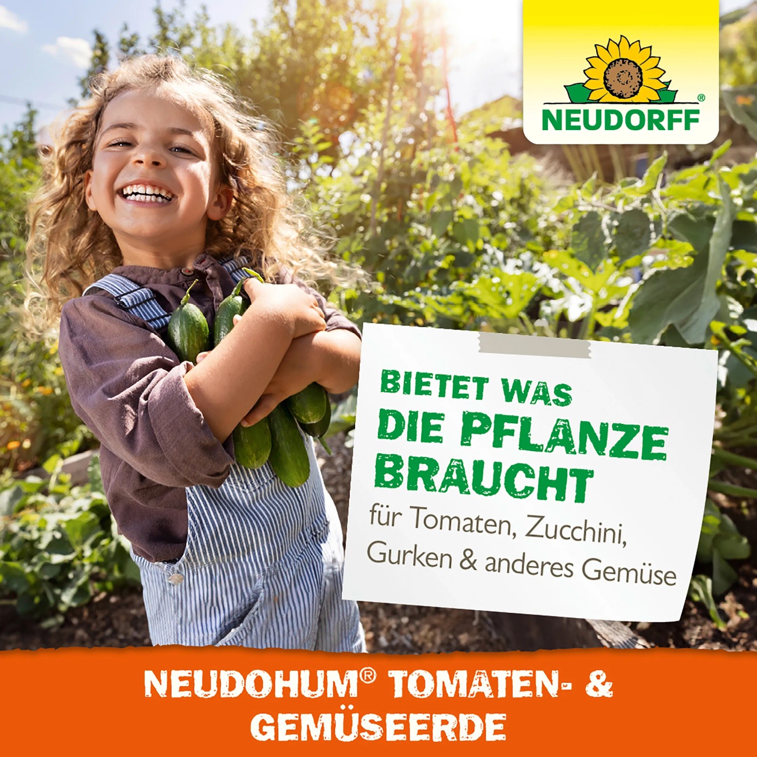 Kind mit Zucchini vor Neudorff Tomaten- und Gemüseerde Werbung. Ideal für Tomaten, Gurken und Gemüse.